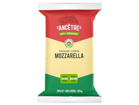 Fromage mozarella partiellement écrémé sans lactose biologique - l’ancêtre For Discount