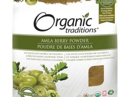 Poudre de Baies d’amla - Organic Traditions For Sale