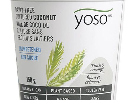 Noix de coco de culture sans produits laitiers non sucré (sans gluten) - Yoso For Sale