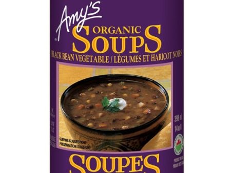 Soupe de légumes et haricots noirs - Amy’s Hot on Sale