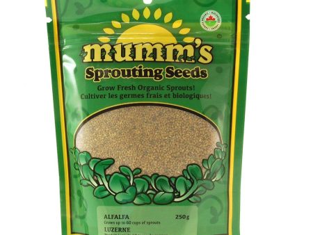 Graines de luzerne - Mumm’s sprouting seeds Online now