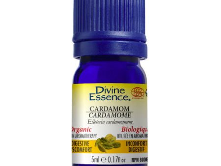 Huile essentielle de cardamome biologique - Divine Essence Online Hot Sale