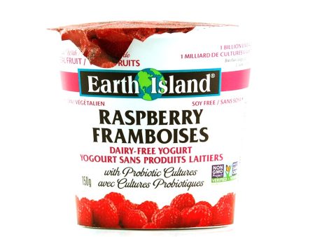 Yogourt sans produits laitiers avec cultures probiotiques aux framboises (sans soya) - Earth Island For Discount