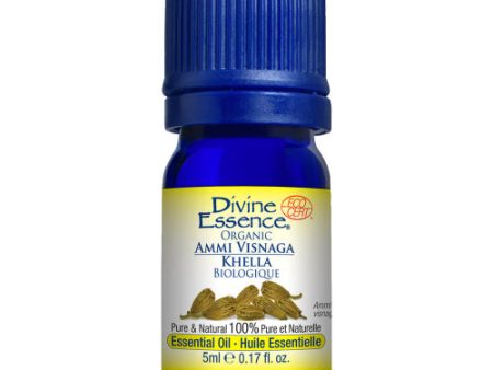 Huile essentielle d Ammi Visnaga - Divine Essence Online now