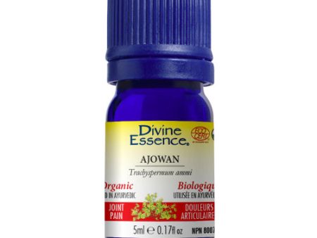 Huile essentielle d ajowan biologique - Divine Essence Sale