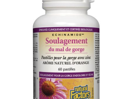 Pastilles pour la gorge avec zinc - Natural Factors Hot on Sale