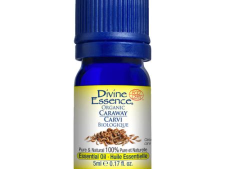 Huile essentielle de carvi biologique - Divine Essence Online Sale