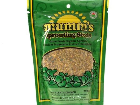 Graines de lentilles épicées croustillantes - Mumm’s sprouting seeds For Cheap