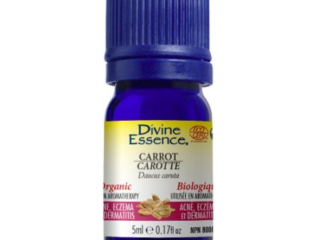 Huile essentielle de carotte biologique - Divine Essence For Discount