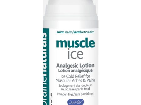 Lotion analgésique soulage les douleurs musculaires - Prairie Naturals Hot on Sale